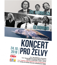 Koncert pro želvy 24.10. Koncert pro želvy 24.10.