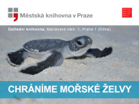 Tvořivá dílna o mořských želvách v MKP 29.11.
