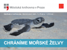 Tvořivá dílna o mořských želvách v MKP 29.11.