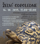 Želví program ve stanici přírodovědců 16.10.2019 Želví program ve stanici přírodovědců 16.10.2019